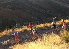 templiers2