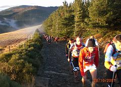 templiers6