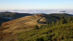 templiers7
